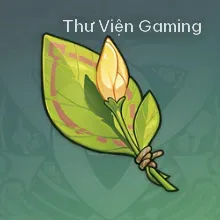 Hoa chưa nở từ nơi nào đó