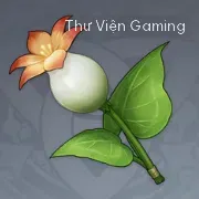 Hoa Calla Lily