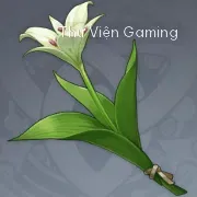 Hoa Cecilia