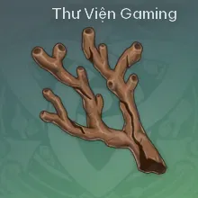 Cành San Hô Vùng Biển Xa