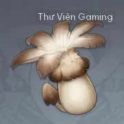 Nấm Rơm Gió