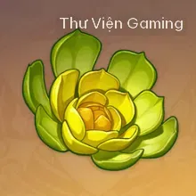 Hoa Tươi Ban Sơ