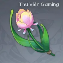 Tường Vi Cầu Vồng