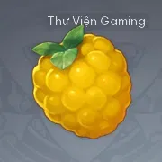 Quả Mâm Xôi