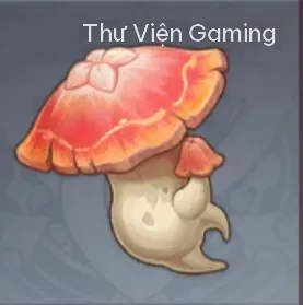 Nấm Quả Đỏ