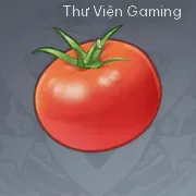 Cà Chua